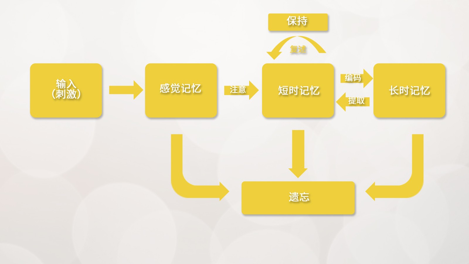 脑电在学习记忆方面的研究 脑电在学习记忆方面的研究